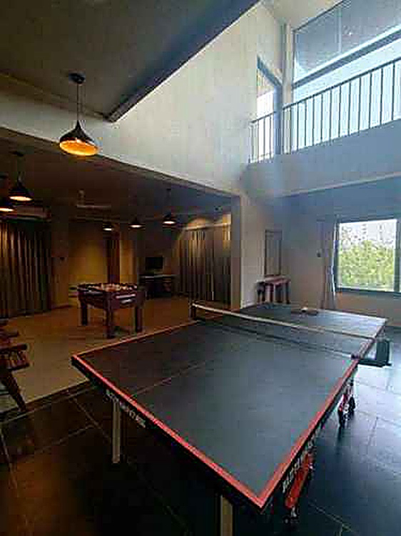 Premium Table Tennis Home Setup